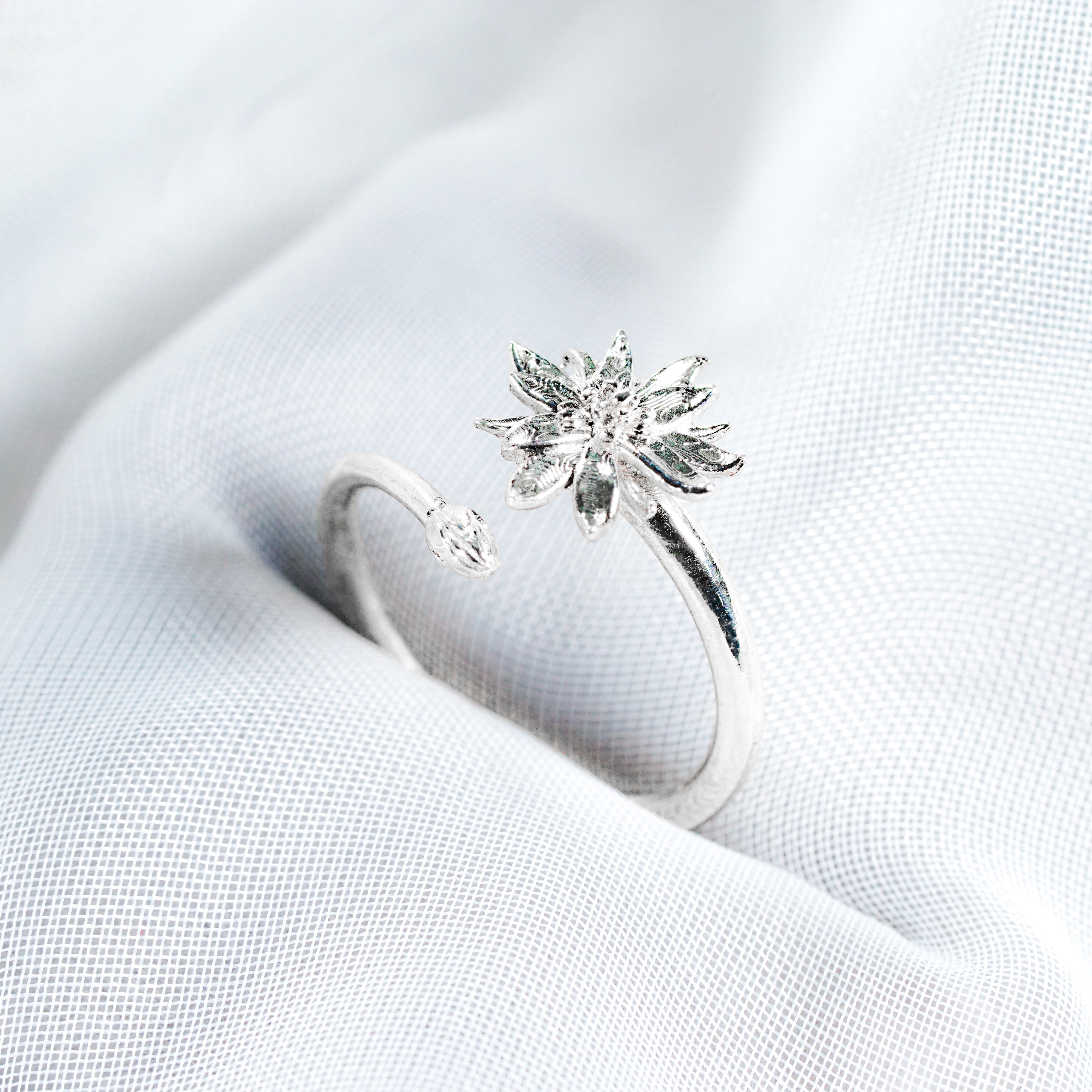 DSC04669 - EternaSilver