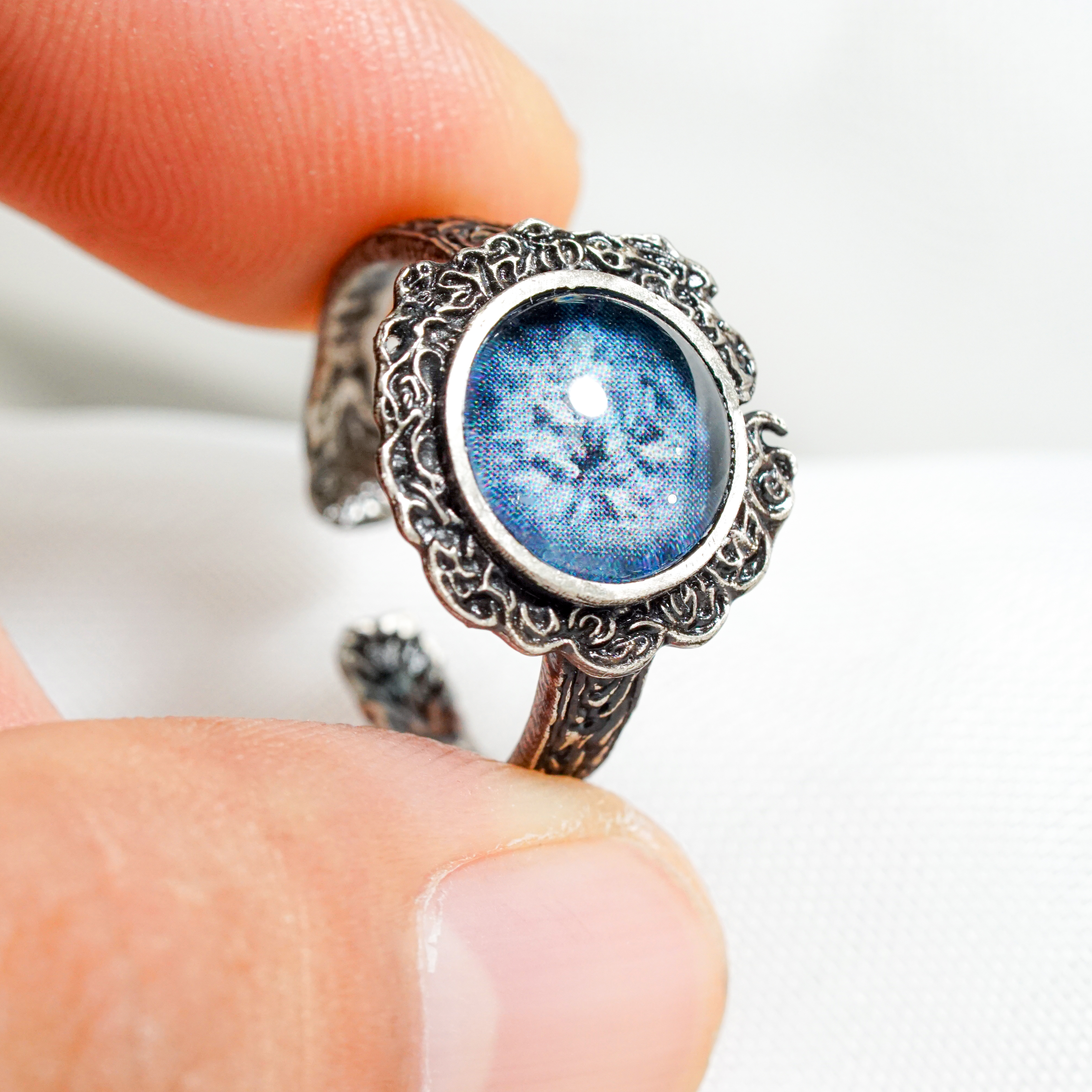 DSC04827 - EternaSilver